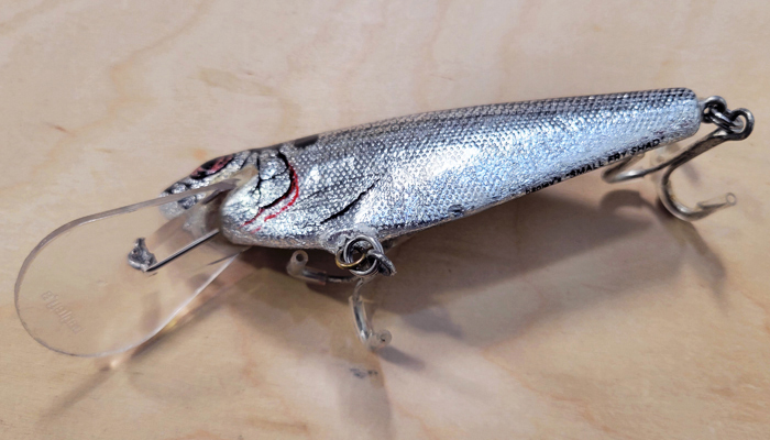 Bagley 4DSF5-SSH Monster Shad