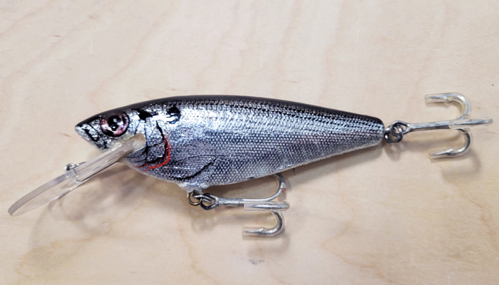 (image for) Bagley 4DSF5-SSH Monster Shad
