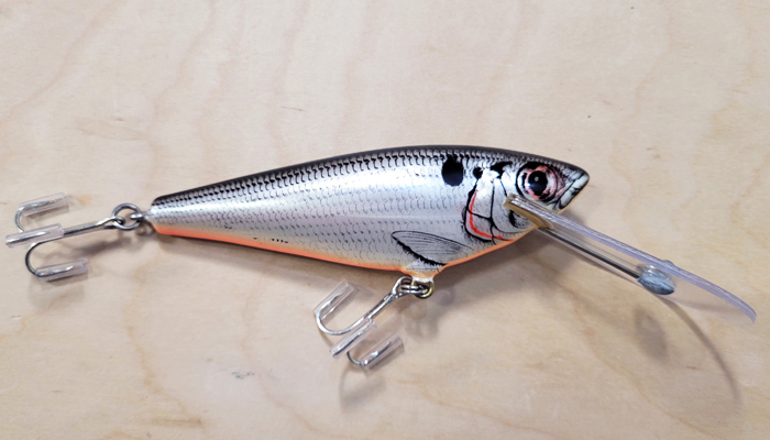 Bagley MSDD-04 Monster Shad