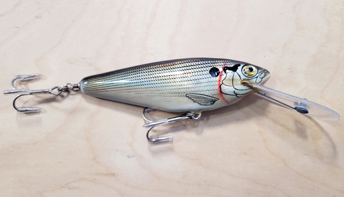 Bagley MSDD-BSPH Monster Shad