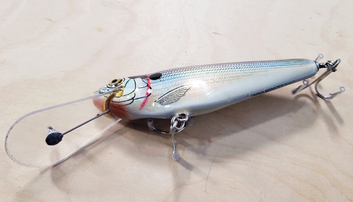 Bagley MSDD-BSPH Monster Shad