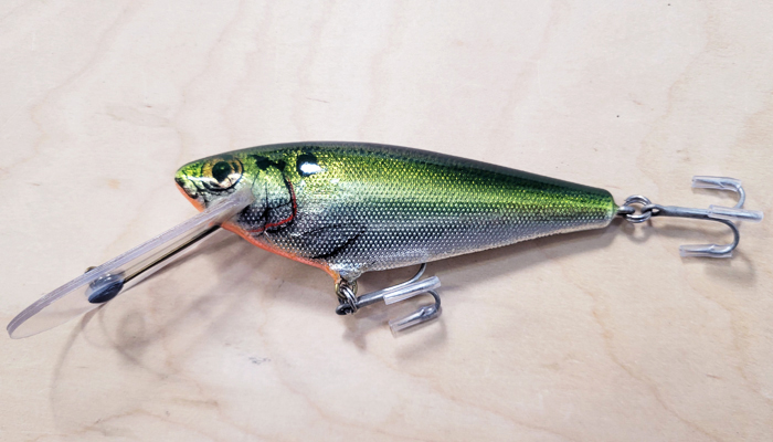 (image for) Bagley MSDD-LGFOT Monster Shad