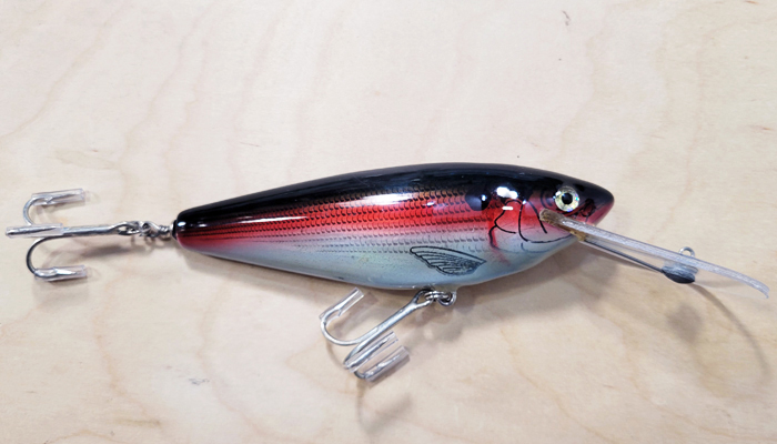 Bagley MSDD-TFH Monster Shad