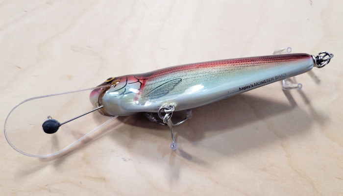 Bagley MSDD-TFH Monster Shad