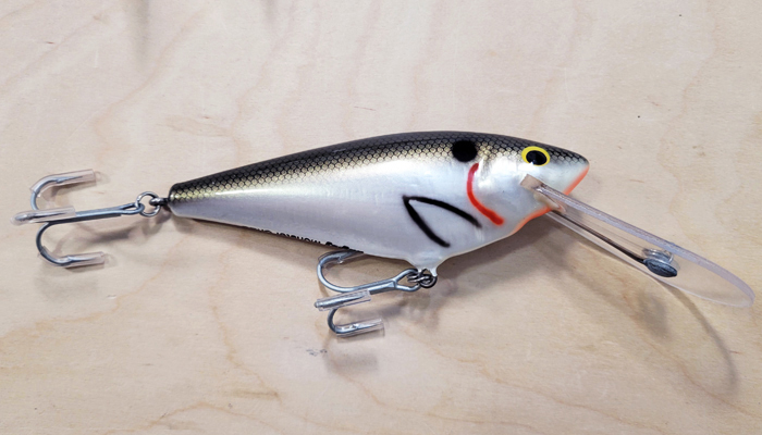 Bagley MSD- Monster Shad/Black Fin