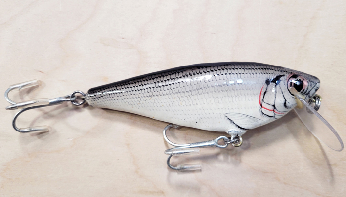 Bagley 4SSF5-A4 Monster Shad