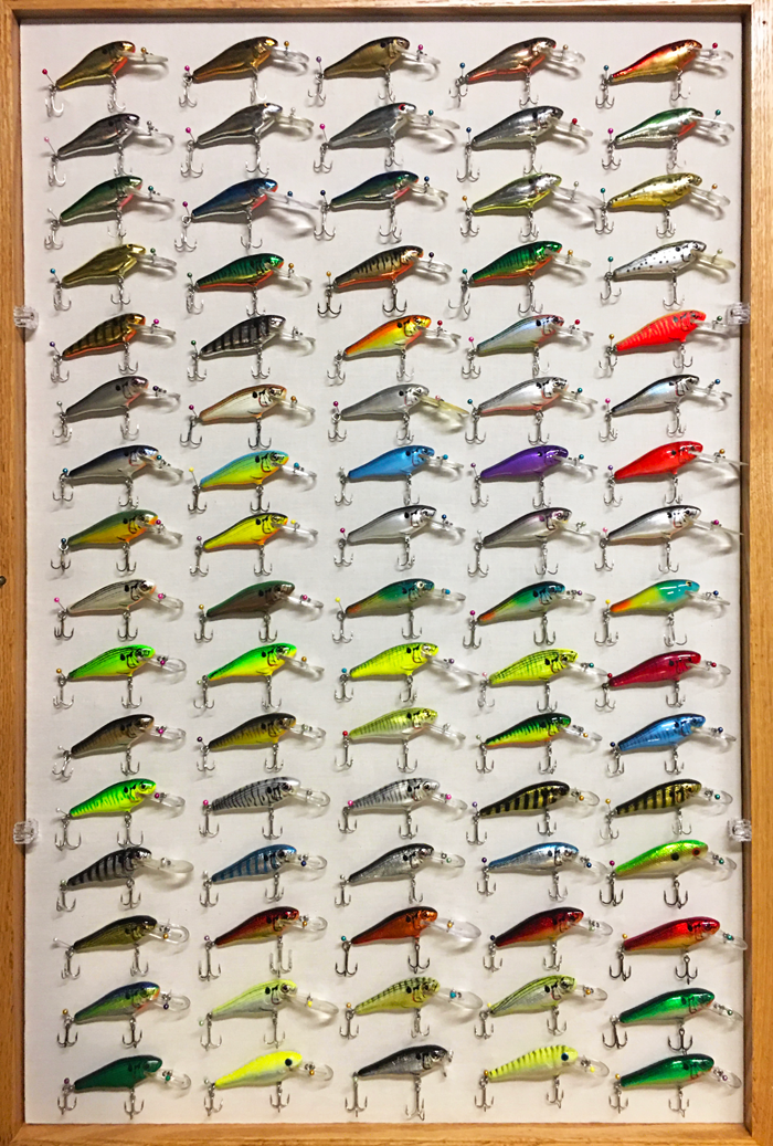 Bagley Lure Collections & Descriptions | The Colors Of Bagley's