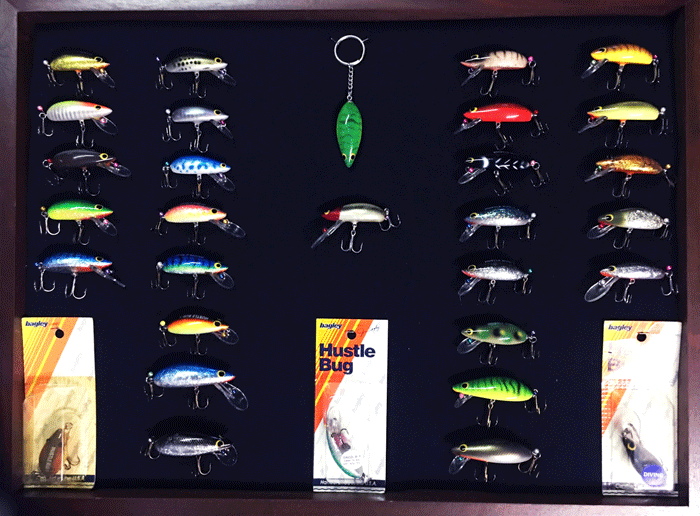 Bill Whitesell's Hustle Bug Collection