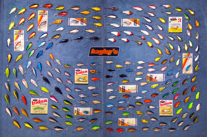 Bagley Shiner/Pinfish Collection