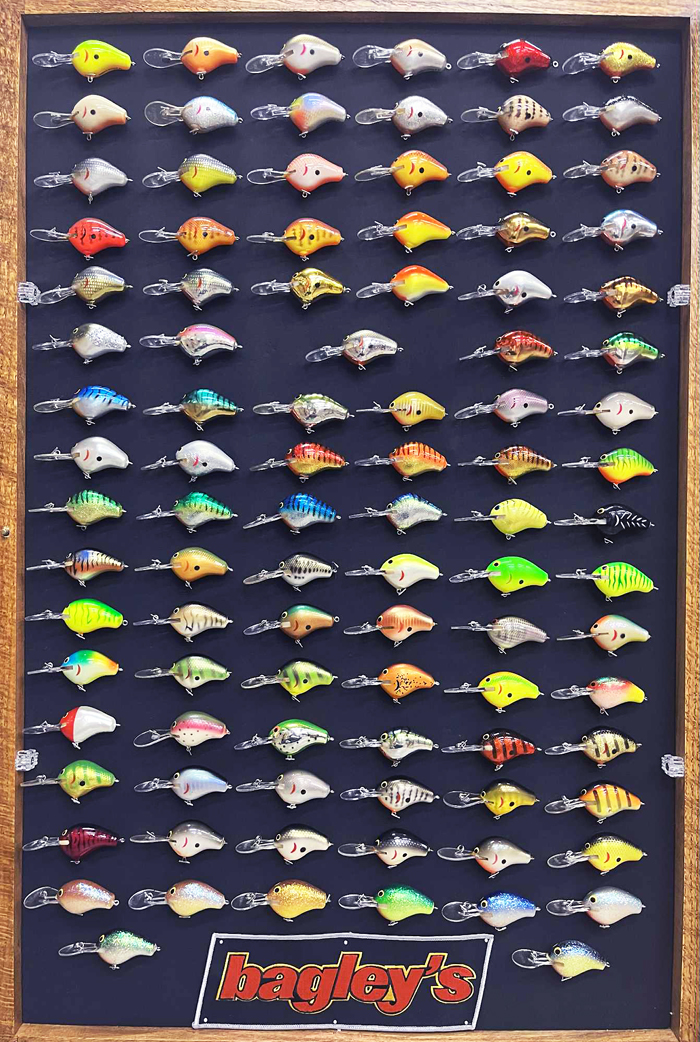 DB1 Collection
