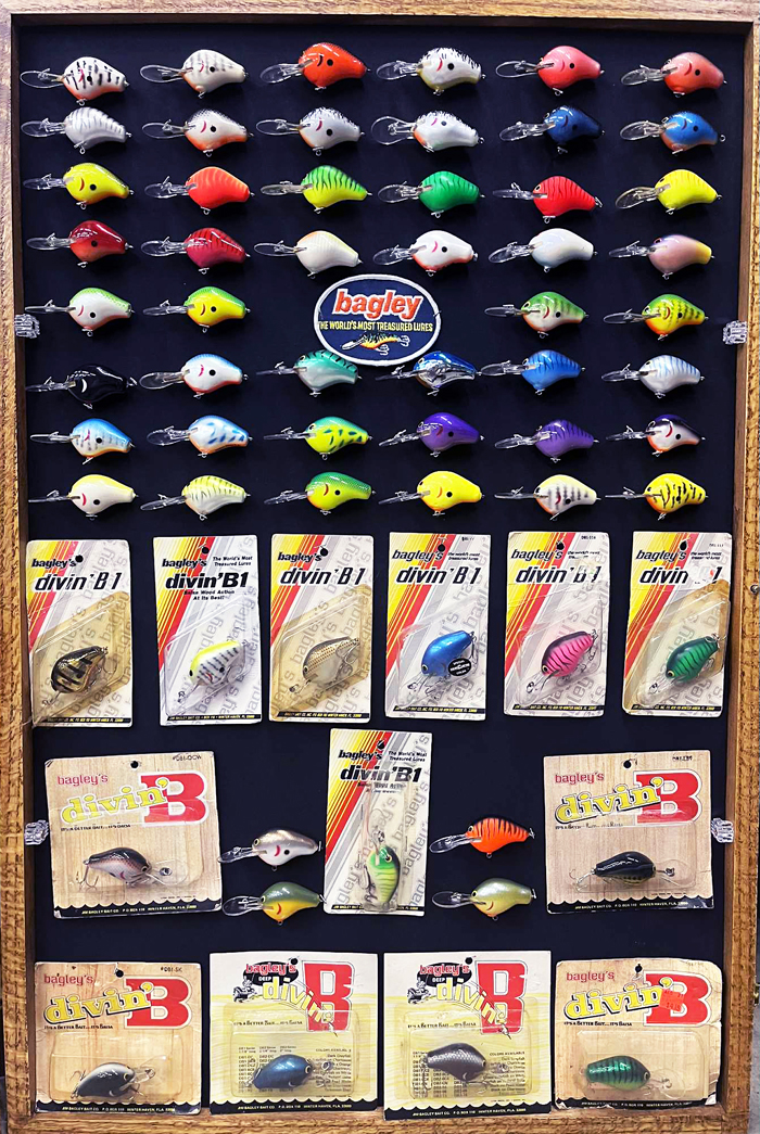 DB1 Collection