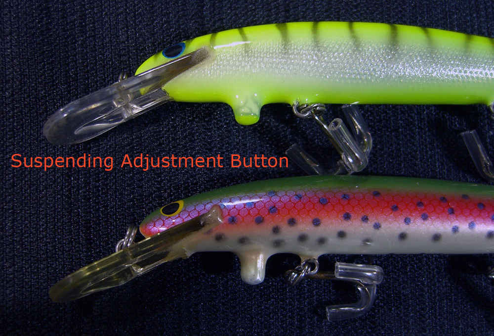 BAGLEY BAIT BANG-O 4 Fishing Lure D4RT RAINBOW TROUT – Toad Tackle