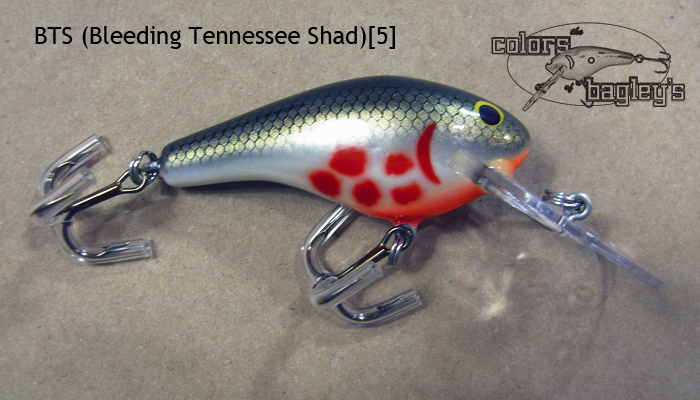 Hard to Find Bagley Diving Bang O Lure DD4,4,TS,Tennessee Shad
