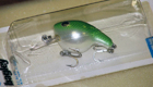 Bagley Diving Fat Cat 64S (Green on White/Silver Eyes)[*]