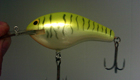 Bagley DB3 94T (Chartreuse on White/Tiger Stripes)[9]
