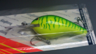 Bagley DB3 LG9T (Lime Green on Charteuse/Stripes)[3]