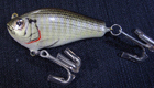 Bagley Balsa Shiner NP (Natural Pinfish)[9]