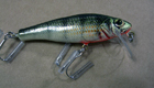 Bagley Small Fry Perch P4 (Perch on White)[6]