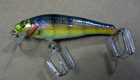 Bagley Small Fry Perch P9 (Perch on Chartreuse)[6]