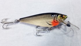 Bagley Monster Shad 4DSF5-CSH (image for) Bagley Monster Shad 4DSF5-CSH