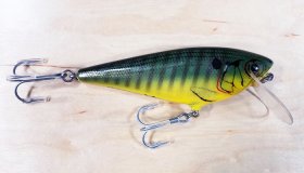 Bagley Monster Shad MSS-PR3 (image for) Bagley Monster Shad MSS-PR3