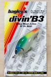 Bagley DB3-PI (image for) Bagley DB3-PI