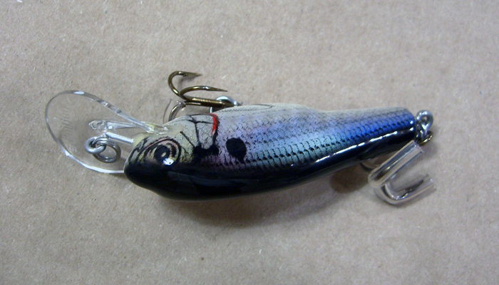 Bagley Small Fry Bass  1DSF1-SH4