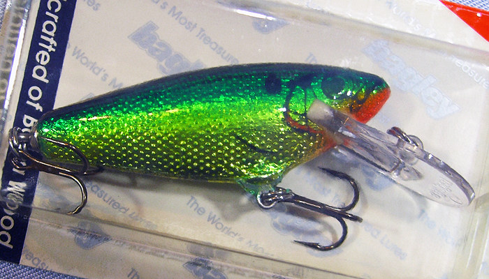 Bagley Small Fry Shad   4DSF2-H69G