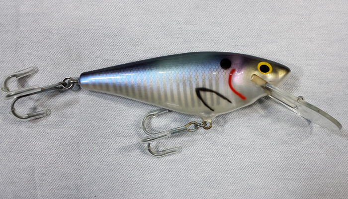 Bagley 4DSF5-SH4 Monster Shad