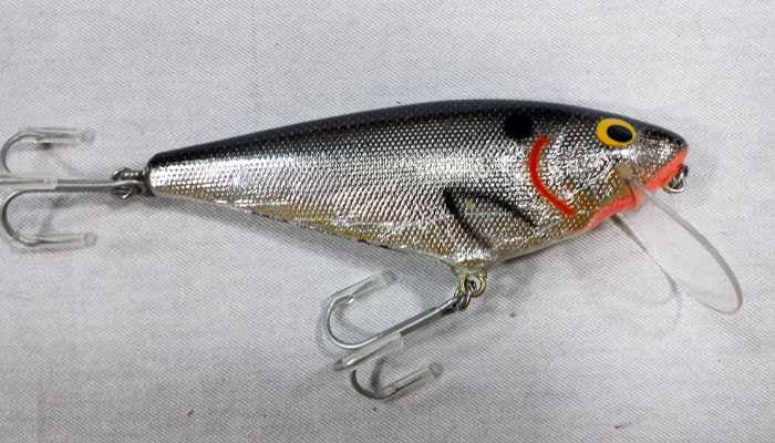 Modal Additional Images for Bagley Monster Shad  4SF5-BSOT
