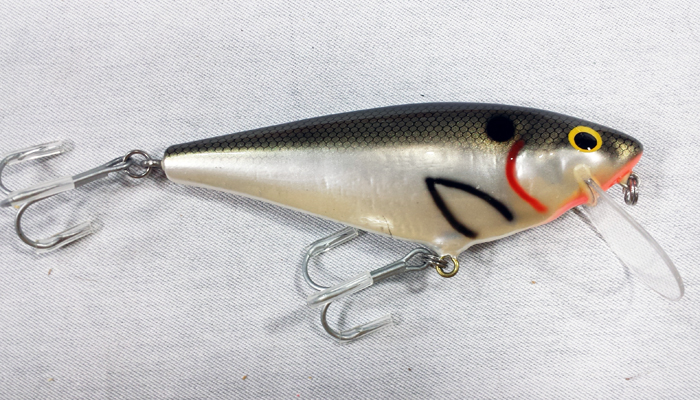 Modal Additional Images for Bagley Monster Shad  4SF5-TS