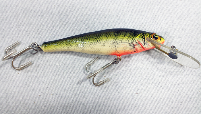 Bagley Small Fry Perch  6DSF5-P4