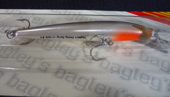 Modal Additional Images for Bagley Bang O Lure   D4-A3