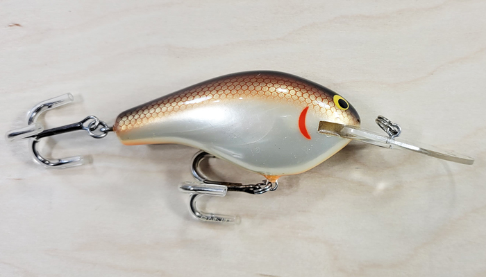 Bagley DB3-WS