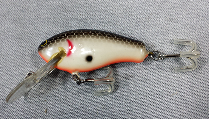 Bagley B Flat   DBF2-04