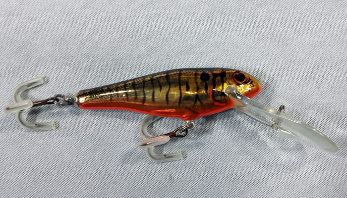Bagley Bass N Shad    DD92-FTBG