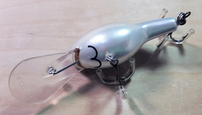 Bagley DDMC3-GSH Mama Cat