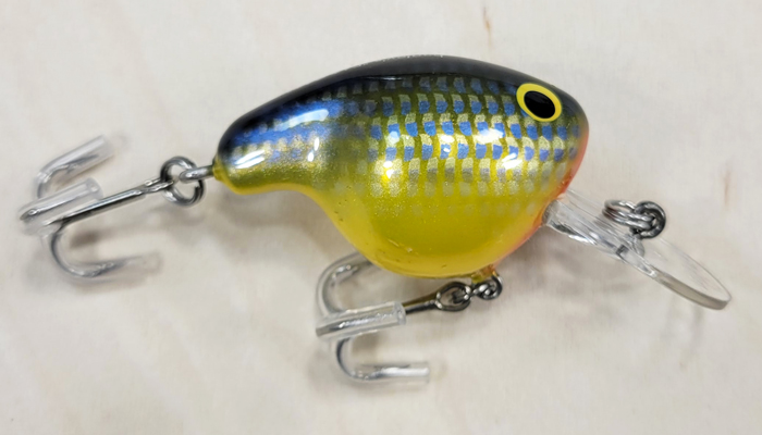 Bagley Fat Cat   DFC2-CSY