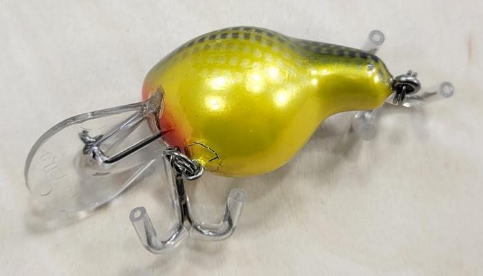 Bagley Fat Cat   DFC2-CSY