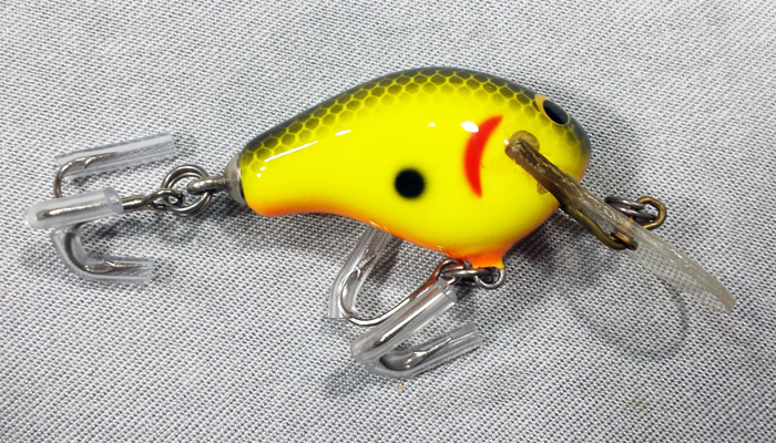 Bagley Honey B   DHB1-09