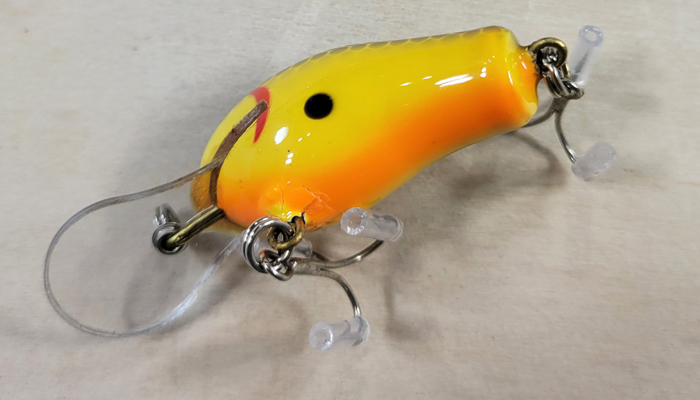 Bagley Honey B   DHB1-09