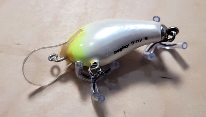 Bagley DHB1-YHW Honey/Bitty B