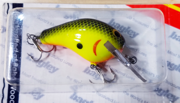 Bagley Killer B1   DKB1-09