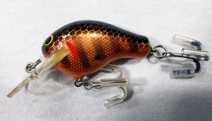 Bagley Killer B1    DKB1-CFS