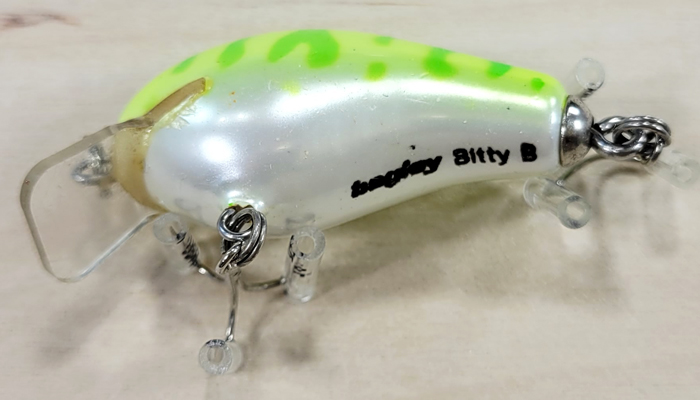Bagley Honey B   HB1SS-LGCD