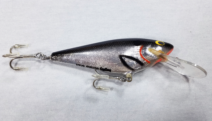 Bagley Monster Shad   MSD-BS