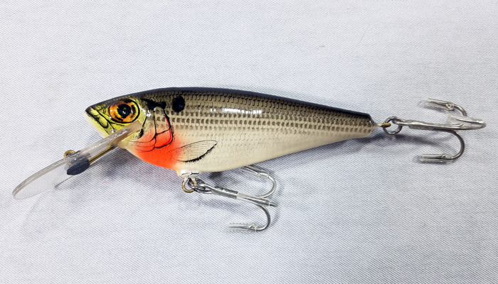 Bagley Monster Shad  4DSF5-CSH