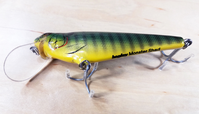 Modal Additional Images for Bagley Monster Shad   MSS-PR3