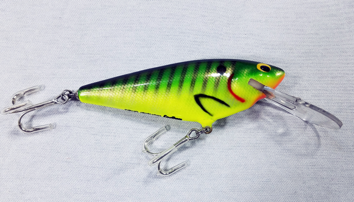 Bagley Monster Shad   MSD-PGS9