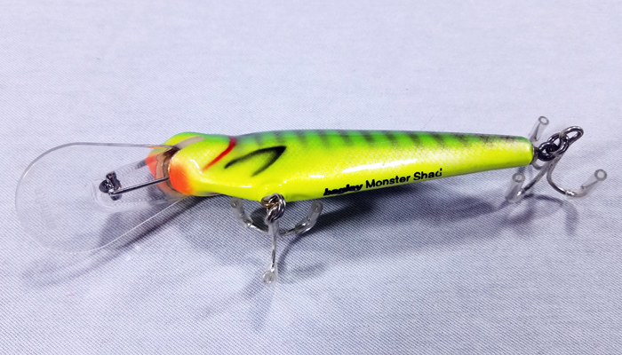 Bagley Monster Shad   MSD-PGS9
